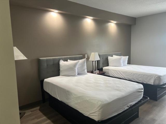 莱克兰贝蒙特套房酒店 外观 照片